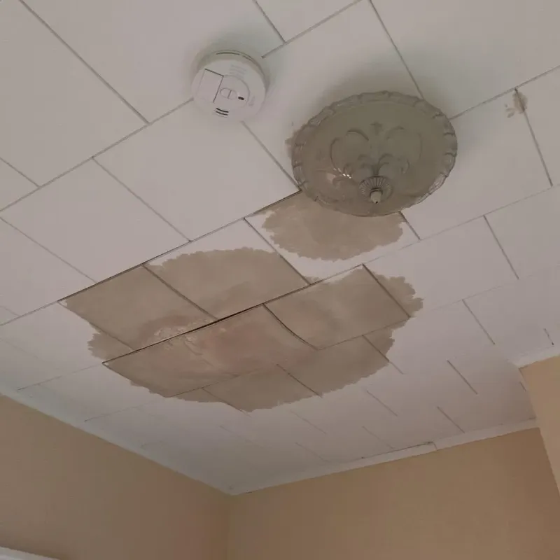 Ceiling Water Damage Repair in Lincoln County, KS