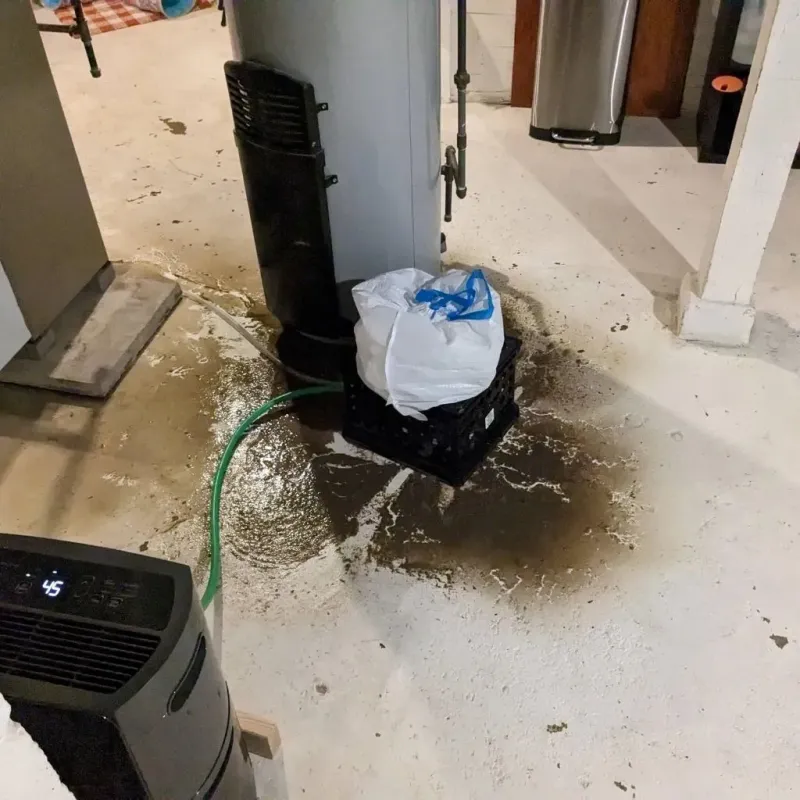 Sewage Backup Cleanup Service in Lincoln County, KS